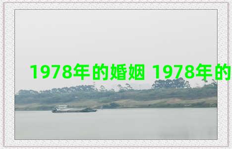 1978年的婚姻 1978年的婚姻配对